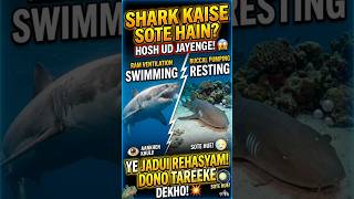 Interesting Facts About Shark Sleeping #facts #shorts #cuteanimals #cutebaby