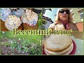 Vlog 🇩🇪Творожно-сливочный торт от мужа/ Пасочки от сестры
