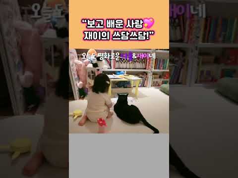 다홍이를 쓰담쓰담하는  재이의  <strong>사랑스런</strong> 손길 귀엽네요