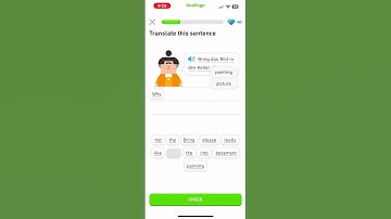 Let’s learn German with Duolingo #beginner section 3: traveller unit 10 #languagelearning #germany