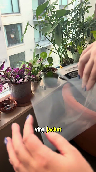 How to Sleeve Vinyl Records