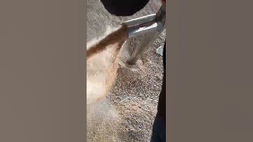 The multi-function grain suction machine can be used for sand pumping, water pumping and manure