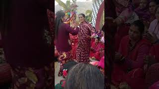 गाउघर नाचगान