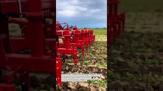 Precision Row Cultivator Power! Break Weeds Fast &amp; Protect Crops #Farming #Tractor #AgTech