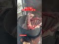 犬も大好き、鹿肉肋骨煮込み #ミシュラン #料理 #フレンチ
