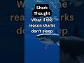 What if Sharks Dream? Dive into This Shark Deep Thought to Find Out! #animals #deepthoughts #facts