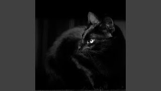 restless (untitled rock band)