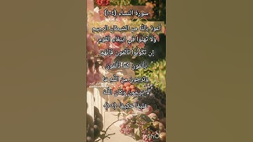 سورة النساء الآية ١٠٤