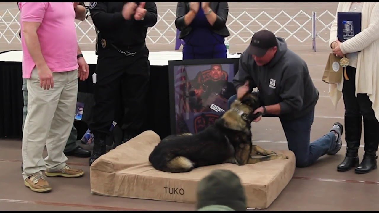 K-9 Jethro Receives Posthumous Certificate of Valor