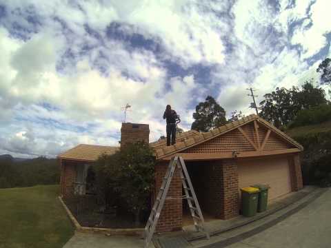 carpet python in mudgeeraba part 1