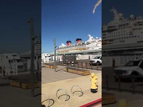 Video: Disney Cruises dari California Selatan