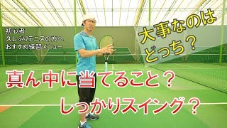 週1以下プレーヤーの極意！?【両方とも大事】①インパクトに集中②フルスイング　もったいないようだけどオートテニスならではの上達への近道