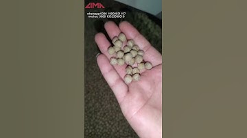 How to Operate Lima LM120 Fish Feed Pellet Machine