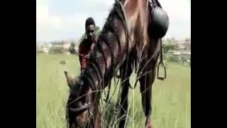 Ray G Enshazi HD Official Video Alose Films