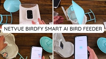 How to setup Netvue Birdfy Smart Ai Bird Feeder