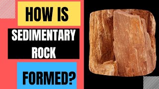 How Are Sedimentary Rocks Formed? [Weathering, Erosion, Deposition, Compaction, Cementation]