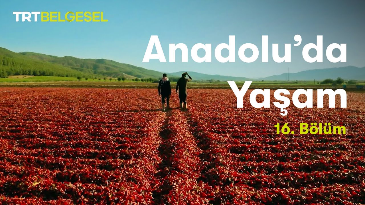 Anadolu'da Yaşam | Güneydoğu Anadolu Bölgesi | TRT Belgesel