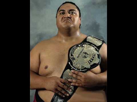 Verstorbene Wwf Wrestler Verstorbene Wwf Wrestler