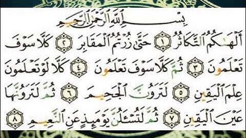 سورة التكاثر (قراءة تعليمية) الشيخ أبي الحسن هشام