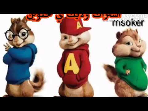 مهرجان سكران مش شايف 