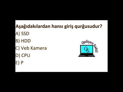 suallar