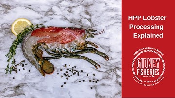 HPP Lobster Processing Explained