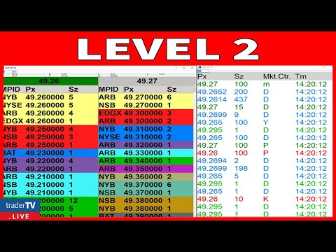 The Ultimate Level 2 Guide For Complete Beginners