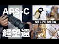 【これがベスト】超望遠ズームレンズ『SEL70350G』をレビュー!SONYα6700との作例も