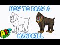 How to Draw a MANDRILL!!!