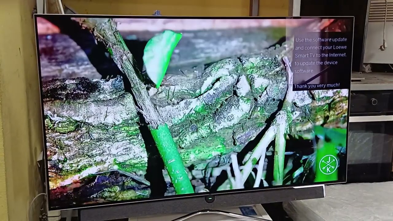 Oled телевізор Loewe Bild 5.55 55 дюймів 120 Гц Android Germany