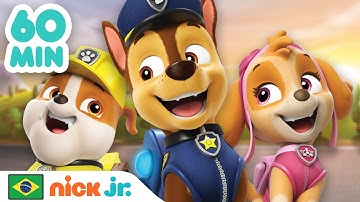 Patrulha Canina | O Melhor da Patrulha Canina por 1 Hora! | Nick Jr. em Português
