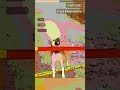 Rookie Dog Moves That Were Doomed Early