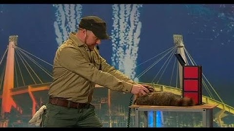 Här dödar han tvättbjörnen Feffe - Talang (TV4)