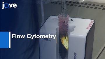 Flow Cytometry for Monitoring of NK Cell Functions | Protocol Preview