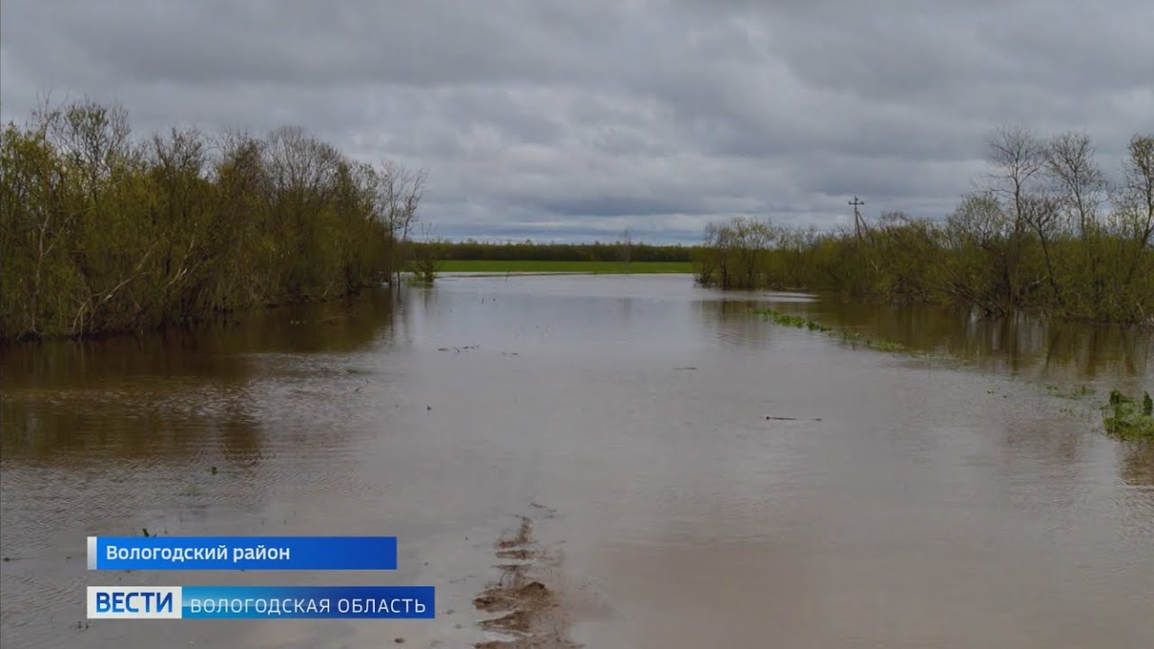 Уровень воды в сухоне сегодня