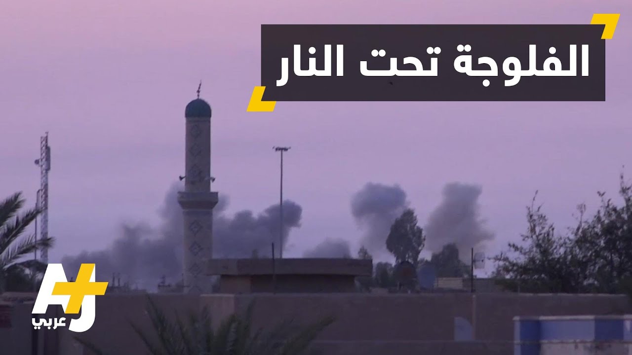 قوات حكومية تعلن انطلاق عملية استعادة الفلوجة