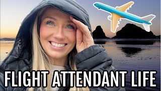 I ACTUALLY LOVED THIS THANKSGIVING LAYOVER 🫶🏼 // FLIGHT ATTENDANT LIFE by Kacey Cassady 17,706 views 5 months ago 16 minutes