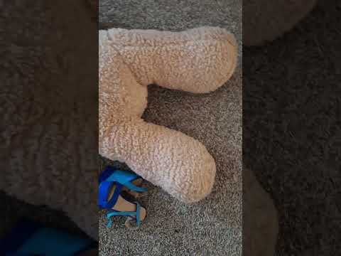 pointed HEELS vs WEDGES welcoming FEBRUARY #asmr #feet #crushing #wedges #grinding #trampled #short