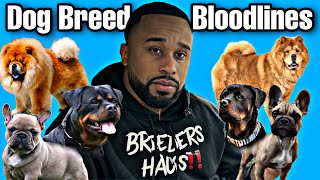 Understanding Dog Breed Bloodlines‼️🩸