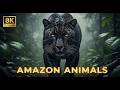 African Safari 4K – Stunning Wildlife of Bale Mountains National Park