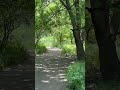 Walking with Lilly in the beautiful nature 🌳🌿💚🦋🌈🌷