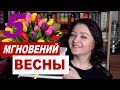 КНИЖНЫЙ МАРАФОН #5мгновенийвесны