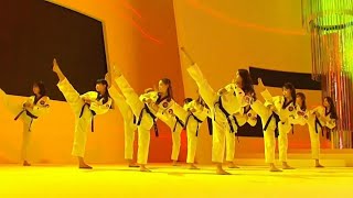 소녀시대 메들리 SNSD Medley_ 태권도 퍼포먼스 Taekwondo performance