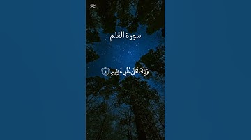 الجزء_الاول سورة القلم #القرآن_الكريم #المصحف
