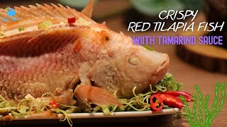 CRISPY RED TILAPIA FISH WITH TAMARIND SAUCE | BẾP NGỌT