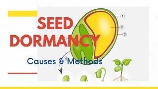 Seed Dormancy||Stratification||Scarification||Causes of Seed Dormancy||Methods