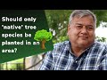 Should only native tree species be planted? | Peepal Baba