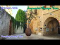 Hanging Orange Tree, Jaffa | NirisEye