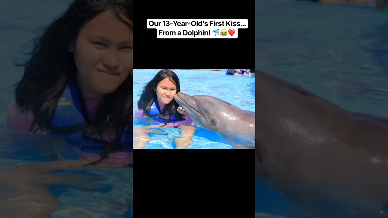 Dolphin Encounter in Cabo San Lucas 🐬 | Mexican Riviera Cruise #shorts