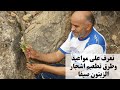 تعرف على مواعيد وطرق تطعيم اشجار الزيتون صيفا متى وكيف يتم تطعيم شجرة الزيتون بالبرعم العين تعرف على مواعيد وطرق تطعيم اشجار الزيتون صيفا متى وكيف يتم تطعيم شجرة الزيتون بالبرعم العين